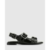 Read Wittner Reviews